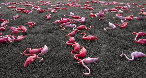 bird_flu